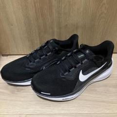 Nike ナイキ　ペガサス41 ワイド　26.0cm