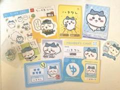 ハチワレまとめ売り
