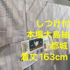 W しつけ付　都城　東郷織物謹製　本場大島紬　証紙付　正絹 ベージュ　163