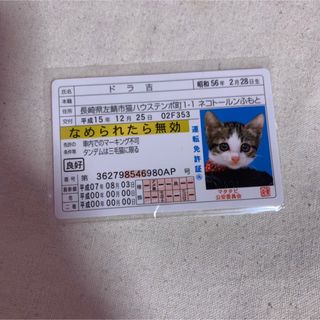 なめ猫　免許証