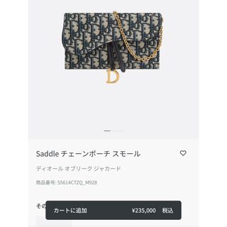 Saddle チェーンポーチ スモール　dior diorbag