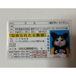 なめ猫 免許証カード