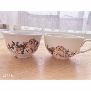 わんコレ　犬　セット　カップ