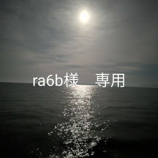 TM collection Bulge Sサイズ 4枚セット
