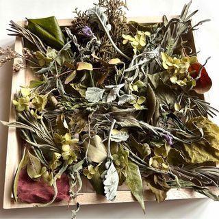 ドライリーフ 花材 グリーン 葉 ドライフラワー クラフト リース