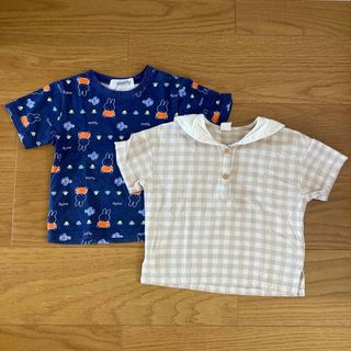 cottoli 半袖Tシャツ95