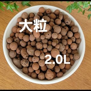 新品JONGKIND ハイドロボール大粒2.0L